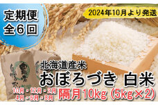 ＜ 予約 定期便 全6回 ＞ 北海道産 希少米 おぼろづき 白米 計 10kg (5kg×2) ＜2024年10月より配送＞ 新米 お米 米 こめ 北海道米
