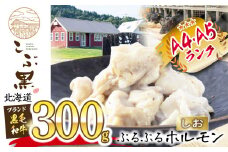 北海道産 黒毛和牛 こぶ黒 しお ホルモン 300g  黒毛和牛 和牛 ぷるぷる 和牛 塩 ホルモン もつ モツ