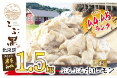 北海道産 黒毛和牛 こぶ黒  しお ホルモン 計 1.5kg ( 300g × 5パック )  黒毛和牛 和牛 ぷるぷる 和牛 塩 ホルモン もつ モツ 