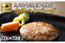北海道産 黒毛和牛 みついし牛 と 道産豚 ハンバーグ 計 1kg （ 100g × 10個 ） 和牛 三石牛 合い挽き ハンバーグステーキ セット