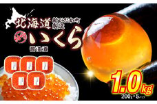 ＜ 12月にお届け ＞ 北海道産 いくら 醤油漬 1kg （ 200g × 5パック ） ＜予約商品 ＞ イクラ いくら丼 海鮮丼 鮭卵 魚介 海鮮 海産物
