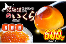 ＜ 12月にお届け ＞ 北海道産 いくら 醤油漬 600g （ 200g × 3パック ）＜予約商品 ＞冷凍 天然 鮭卵 いくら醤油漬け ふるさと納税 イクラ 秋さけ 秋サケ 秋味 鮭 さけ サケ 醤油漬 醤油 魚卵 魚 魚介 卵 海鮮 海産物 冷凍 北海道 新ひだか町 ふるさと納税