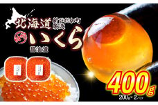 ＜ 12月にお届け ＞ 北海道産 いくら 醤油漬 400g （ 200g × 2パック ） ＜予約商品 ＞ 冷凍 天然 鮭卵 いくら醤油漬け ふるさと納税 イクラ 秋さけ 秋サケ 秋味 鮭 さけ サケ 醤油漬 醤油 魚卵 魚 魚介 卵 海鮮 海産物 冷凍 北海道 新ひだか町 ふるさと納税