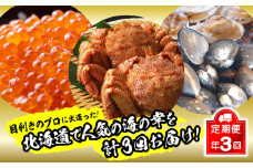 ＜2023年12月から順次発送＞【 定期便 3回 】 北海道産 海の幸 定期便 いくら 500ｇ ( 250 ｇ × 2 パック ) 毛がに 2尾 活きホッキ貝 20個 北海道 新ひだか町 ＜ 予約商品 ＞ いくら醤油漬 毛ガニ かに カニ 蟹 北寄 ほっき ホッキ 貝 旬 魚介 海鮮 海産物 