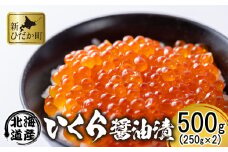 北海道 日高産 いくら 醤油漬 500g ( 250g × 2パック ) イクラ いくら丼 海鮮丼 魚介 海鮮 海産物