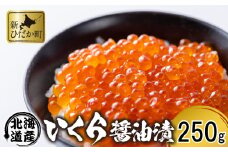 北海道 日高産 いくら 醤油漬 250g イクラ いくら丼 海鮮丼 魚介 海鮮 海産物