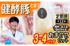 ＜ 定期便 12回 ＞ 北海道産 健酵豚 おまかせ セット （ 加工品 あり） 毎月 各 3～4 パック  豚肉 精肉 加工品 詰め合わせ ブランドポーク