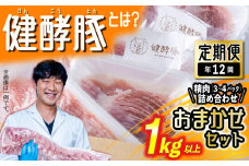 ＜ 定期便 12回 ＞ 北海道産 健酵豚 おまかせ セット （ 精肉 詰め合わせ ） 毎月 各 1kg 以上 ( 3 ～ 4 パック )  豚肉 おためし 詰め合わせ ブランドポーク