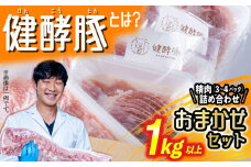 北海道産 健酵豚 精肉 おまかせ セット 1kg 以上( 3～4パック ) 豚肉 おためし 詰め合わせ ブランドポーク