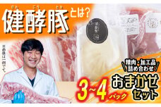 北海道産 健酵豚 おまかせ セット 3～4パック 豚肉 精肉 加工品 おためし 詰め合わせ ブランドポーク
