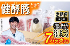 ＜ 定期便 6回 ＞ 北海道産 健酵豚 お楽しみ 福袋 （ 加工品 あり） 隔月 各 7パック以上  豚肉 精肉 加工品 セット 詰め合わせ ブランドポーク