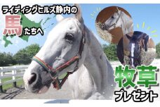 競走馬のふるさと 北海道 新ひだか町 ライディングヒルズ静内 馬 への 牧草ロール プレゼント 静内 うま サラブレッド ポニー 引退馬																				