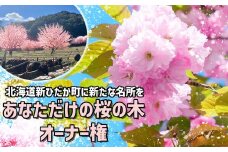 ＜ 北海道 新ひだか町 に新たな 桜 の 名所 を ＞ あなた だけの 桜の木 オーナー 権 八重桜 キャンプ BBQ バーベキュー 三石 まつもと牧場