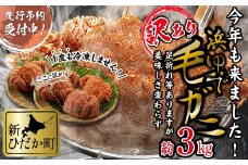 ＜2026年2月中旬から順次発送＞ 訳あり 北海道産 浜ゆで 毛ガニ 約 3kg ＜予約商品＞ 毛蟹 毛がに かに味噌 カニ味噌 新鮮 旬 ボイル 浜茹で 海鮮 海産物 わけあり 訳アリ  
