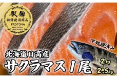 北海道産 桜ます 1尾 （ 約 2 ～ 2.5kg ） 天然 プロトナ 仕立て 下処理済み サクラマス ます 鱒