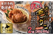 ＜2026年2月中旬から順次発送＞ 訳あり 北海道産 浜ゆで 毛ガニ 2尾 (  1尾あたり 250g ～ 300g ) 毛蟹 毛がに かに味噌 カニ味噌 新鮮 旬 ボイル 浜茹で 海鮮 海産物 わけあり 訳アリ ＜予約商品＞ 