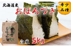 ＜ 10月中旬から順次発送 ＞ 新米 令和7年度産 北海道米 おぼろづき 白米 5kg 北海道 新ひだか町 ＜ 予約受付 ＞
