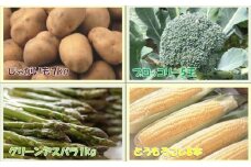 ［先行受付］おとふけの味覚セット(4回コース)【L11】2025年5月中旬より順次発送