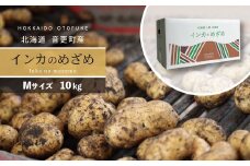 ［先行受付］おとふけ産じゃがいも「インカのめざめ」10kg（Mサイズ）【A36】2025年11月下旬頃より順次発送予定