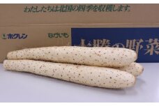 令和6年産「JAおとふけ」ながいも6本セット【A51】