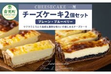 「CHEESECAKE一厘」チーズケーキ2個セット（プレーン・ブルーベリー）【A54】