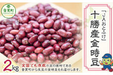 令和6年産 金時豆2kg「JAおとふけ」【B14】