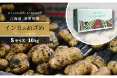 ［先行受付］おとふけ産じゃがいも「インカのめざめ」10kg（Sサイズ）【B29】2025年11月下旬頃より順次発送予定