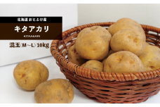 ［先行受付］おとふけ産じゃがいも「きたあかり」10kg（M～Lサイズ）【B28】