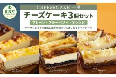 「CHEESECAKE一厘」チーズケーキ3個セット（プレーン・ブルーベリー・オレンジ）【C36】