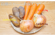 ［先行受付］自慢のカレー野菜セット【A63】2025年11月上旬頃より順次発送予定