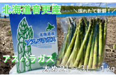 ［先行受付］北海道音更産「川野農園」のグリーンアスパラ1kg(太め2L～3L)【A66】2025年5月中旬頃より順次発送予定