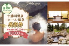 十勝川温泉モール温泉感謝券30,000円分【T-100000】