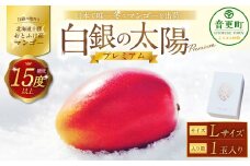 ［先行受付］おとふけ産マンゴー「白銀の太陽プレミアム」Lサイズ×1玉【D23】《2025年11月上旬より発送開始予定》
