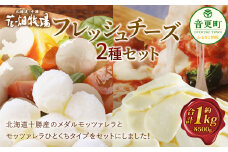 花畑牧場 フレッシュチーズ2種セット（メダルモッツァレラ 約500g＋モッツァレラひとくちタイプ 約500g）【A91】 モッツァレラチーズ 北海道産