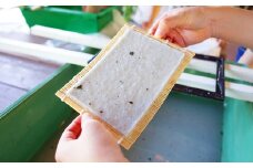 十勝の野菜を使ったハガキ作り体験 3名様【C71】 ワークショップ 紙すき
