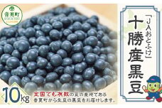 令和6年産 黒豆 10kg「JAおとふけ」【D45】 くろまめ 北海道