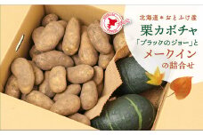 【先行受付】北海道おとふけ産 栗カボチャ「ブラックのジョー」・じゃがいも「メークイン」の詰め合わせ【B74】2025年10月下旬頃より発送予定