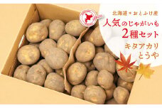 【先行受付】北海道おとふけ産 人気のじゃがいも 2種セット「キタアカリ・とうや」合計9kg 【B73】2025年10月中旬頃より発送予定