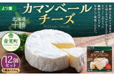 「よつ葉」カマンベールチーズ 12個セット【C74】 チーズ 北海道