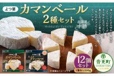 「よつ葉」カマンベール2種 12個セット【C76】 チーズ 北海道