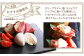 【3回定期便】 花畑牧場 ブラータ～生モッツァレラ～ 約70g×12個入