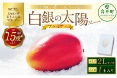 ［先行受付］おとふけ産マンゴー「白銀の太陽プレミアム」2Lサイズ×1玉【D25】《2025年11月上旬より発送開始予定》