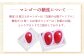 ［先行受付］おとふけ産マンゴー「白銀の太陽プレミアム」4Lサイズ×1玉【D26】《2025年11月上旬より発送開始予定》