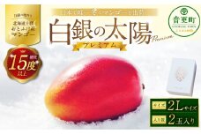 ［先行受付］おとふけ産マンゴー「白銀の太陽プレミアム」2Lサイズ×2玉【D18】《2025年11月上旬より発送開始予定》