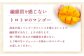 ［先行受付］おとふけ産マンゴー「白銀の太陽プレミアム」2Lサイズ×2玉【D18】《2025年11月上旬より発送開始予定》