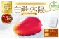 ［先行受付］おとふけ産マンゴー「白銀の太陽プレミアム」4Lサイズ×2玉【D28】《2025年11月上旬より発送開始予定》