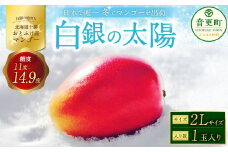 ［先行受付］おとふけ産マンゴー「白銀の太陽」2Lサイズ×1玉【C64】《2025年11月上旬より発送開始予定》