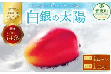 ［先行受付］おとふけ産マンゴー「白銀の太陽」4Lサイズ×1玉【D24】《2025年11月上旬より発送開始予定》
