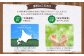 「よつ葉」北海道十勝 チェダー（ブロックチーズ） 100g×12個【A123】