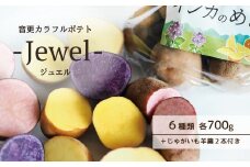 《先行受付》音更カラフルポテト-Jewel-（インカのめざめ・インカのひとみ・とうや・ノーザンルビー・シャドークイーン・さやあかね 各700g・じゃがいも羊羹 2本付き）【A129】《2025年12月上旬頃より順次発送》